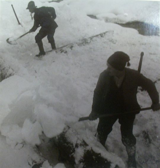 Foto Holzstapel