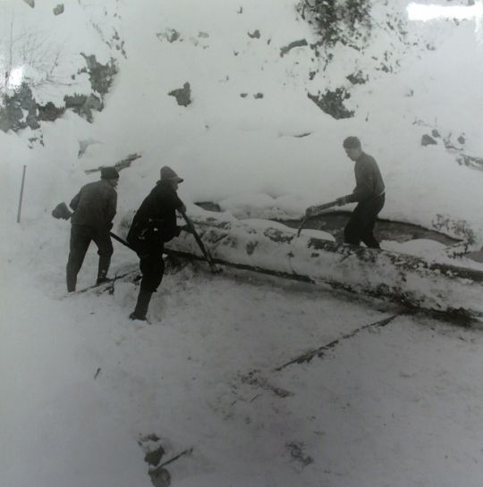 Foto Holzstapeln