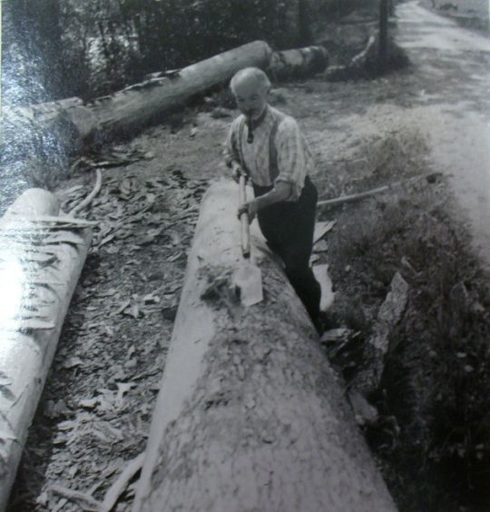 Foto "Baumrinde-Brennholz"