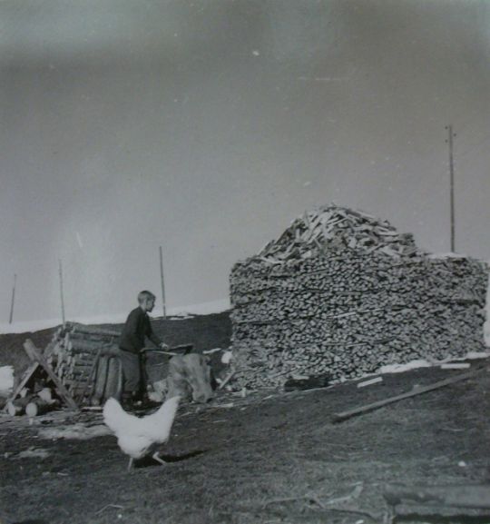 Foto "Bau einer Holztriste"