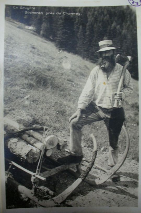 Foto "Schlitten - Hörnerschlitten für Holztransport"