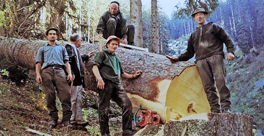 Foto Holzergruppe