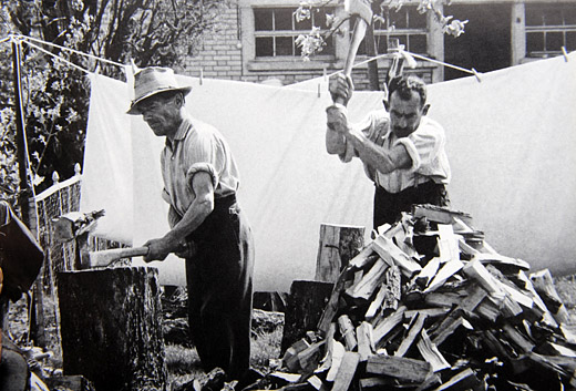 Foto Brennholz spalten
