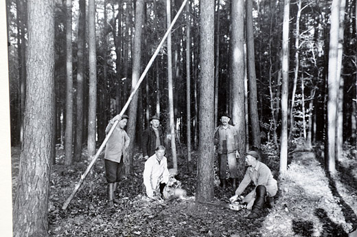 Foto Zweimannmotorsäge