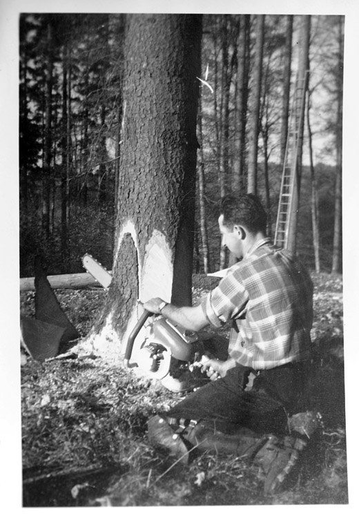 Foto Anschroten mit Stihl Contra