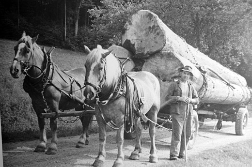 Förderverein Forstmuseum Ballenberg FFMB