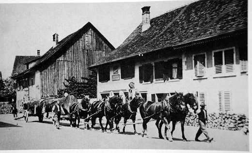 Foto Holztransport