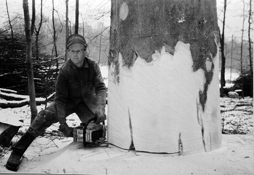 Foto Sägen der Fallkerbe