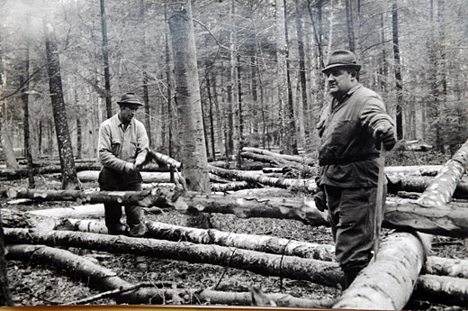 Foto Entasten