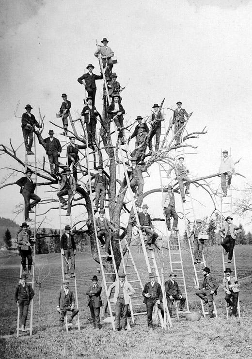 Foto Obstbaukurs