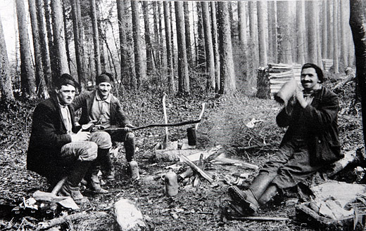 Foto Mittagspause im Wald