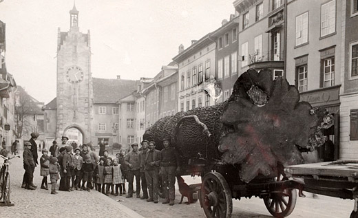 Foto Holztransport