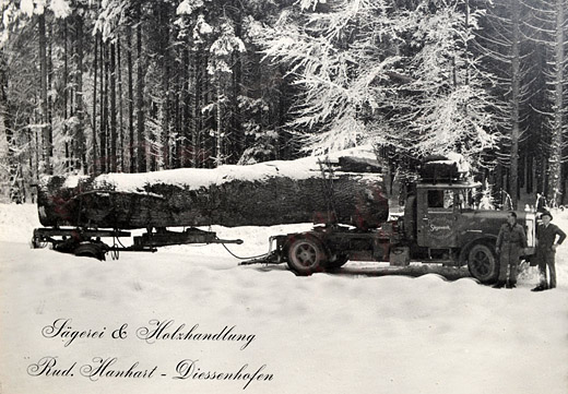 Foto Holztranport im Winter
