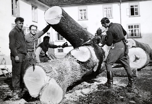 Foto Holzergruppe