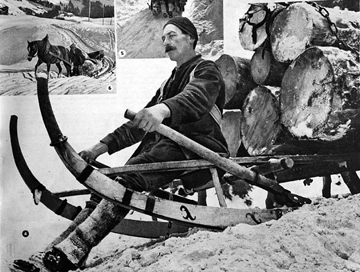 Foto Hornschlitten