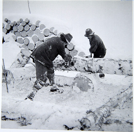 Foto Brennholzaufbereitung