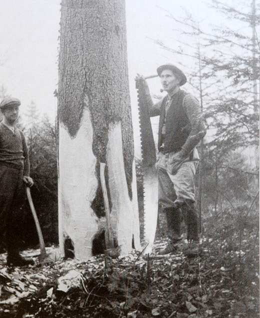 Foto Schroten mit Axt und Handsäge