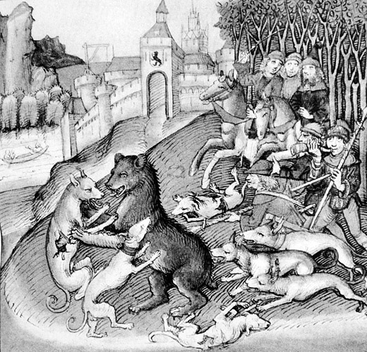 Foto Jagd im Bremgartenwald vor Bern