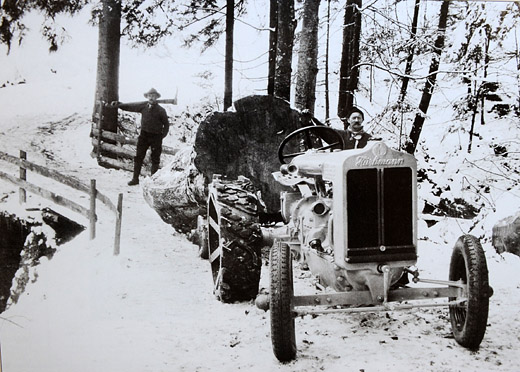 Foto Transport eines grossen Ahorns