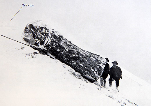 Foto Seilwindeneinsatz