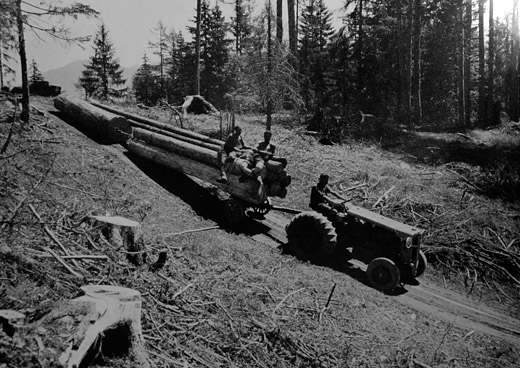 Foto Holztransport im Gebirge
