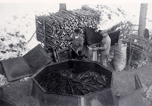 Foto Köhlerei
