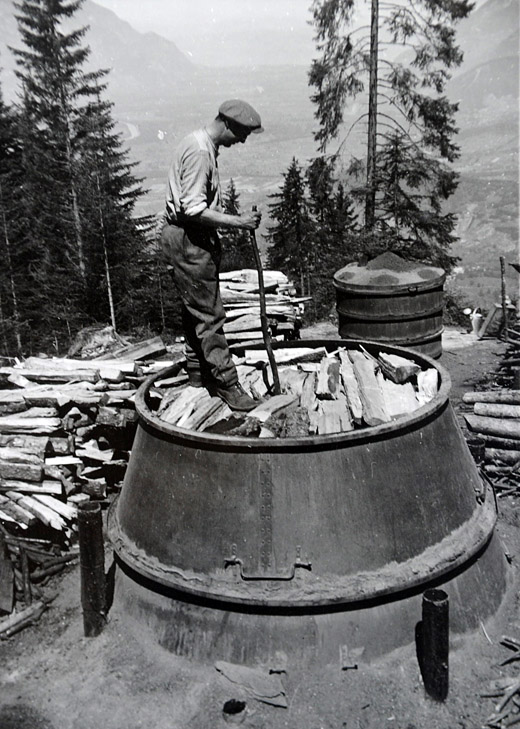 Förderverein Forstmuseum Ballenberg FFMB