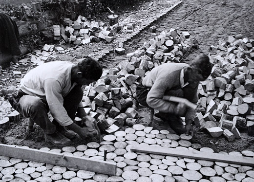 Foto Einbau von Rundholz im Strassenbau