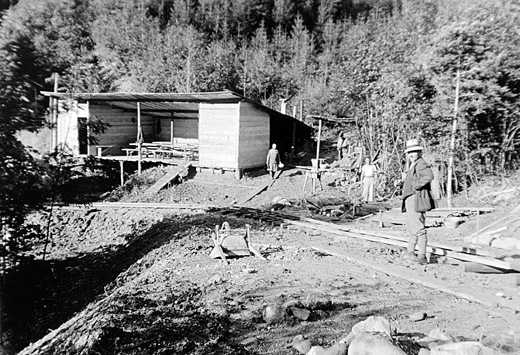 Foto Baubaracke im Forststrassenbau