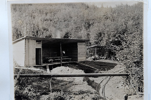 Foto Baubaracke im Sihlwald