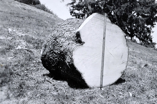 Foto Sprengen von Holz