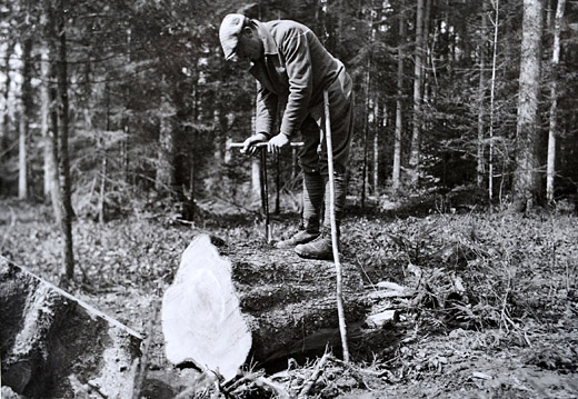 Foto Sprengen von Holz