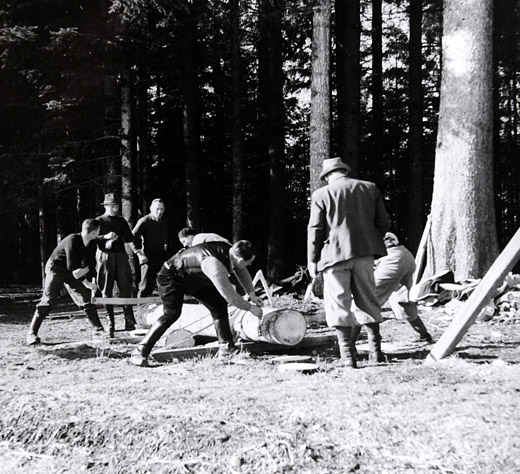 Foto Kurs mit Hobelzahnsägen