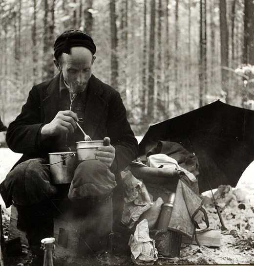 Foto Mittagessen im Wald