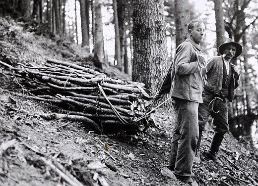 Foto Rücken von Brennholz