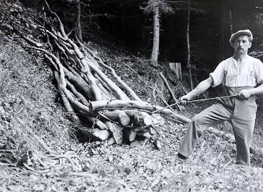 Foto Rücken von Brennholz