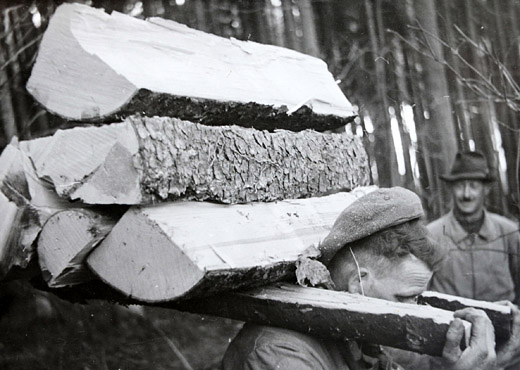 Foto Transport von Brennholz