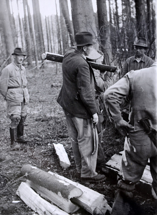 Foto Brennholzaufbereitung