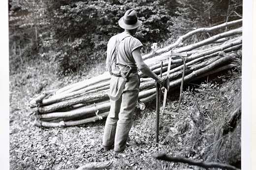 Foto Brennholztransport