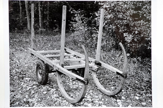 Foto Rückewagen für Brennholz