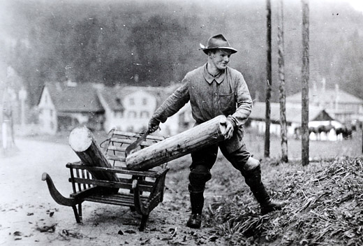 Foto Schichtholztransport mit Karrette
