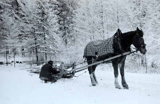 Foto Rücken mit Schlitten