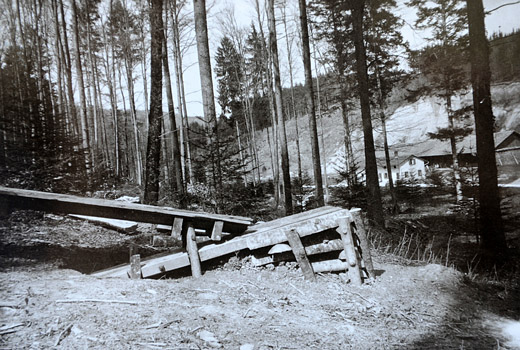 Foto Reistkanal für Brennholzscheiter