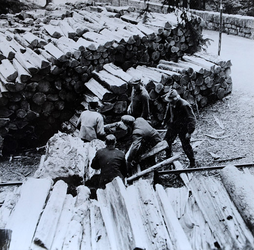 Förderverein Forstmuseum Ballenberg FFMB