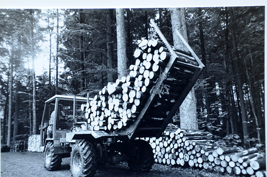 Foto Transport von Schichtholz