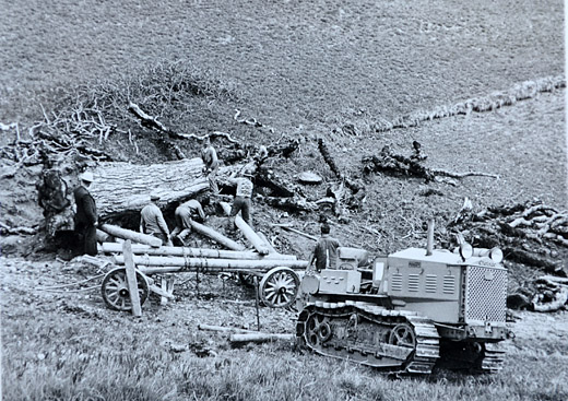 Foto Rücken mit Trax