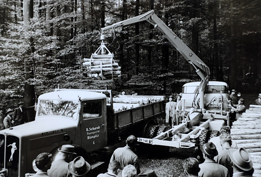 Foto Verladen von Schichtholz mit Kran