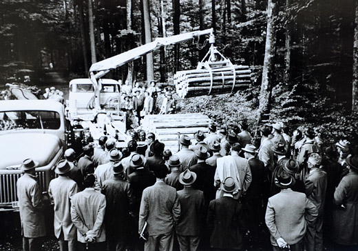 Foto Verladen von Schichtholz  mit Kran