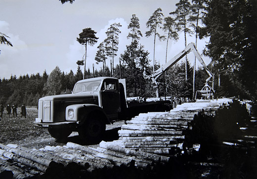 Foto Verladen von 2 m Schichtholz mit Kran