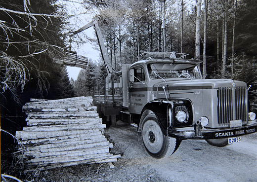 Foto Verladen von 2 m Schichtholz mit Kran